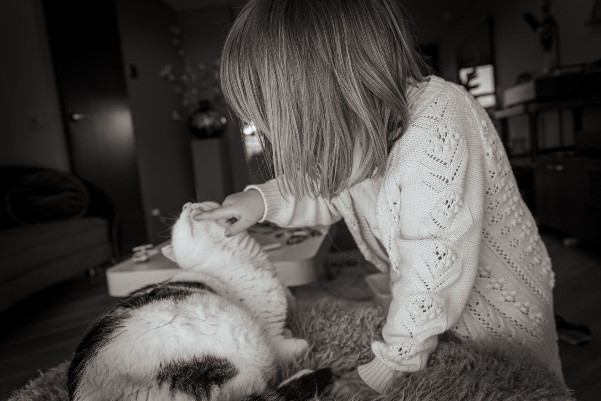 Puur Beeld Fotografie Genemuiden | Day in the life