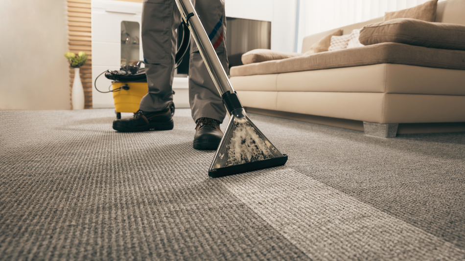 Person cleaning a light gray carpet with a carpet cleaner in a living room.