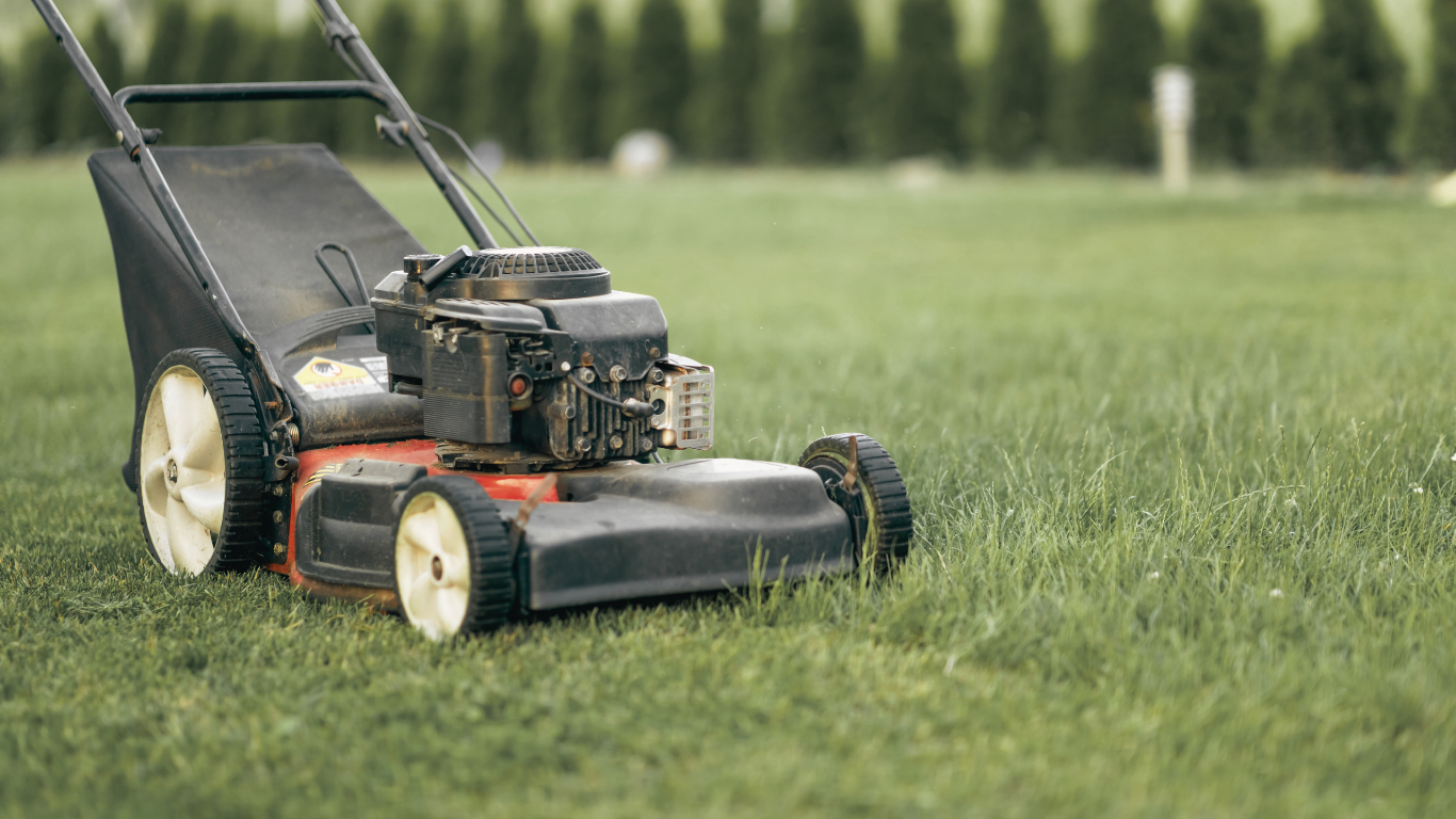 Lawnmower on green grass, ready to mow. Black and red machine, white wheels, backdrop of trees.