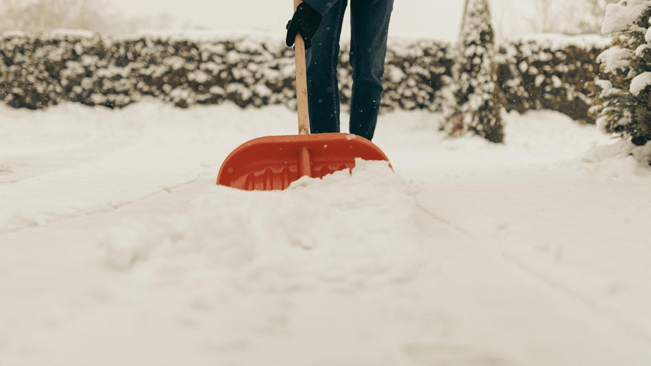 Person shoveling snow with red shovel in a snowy yard.