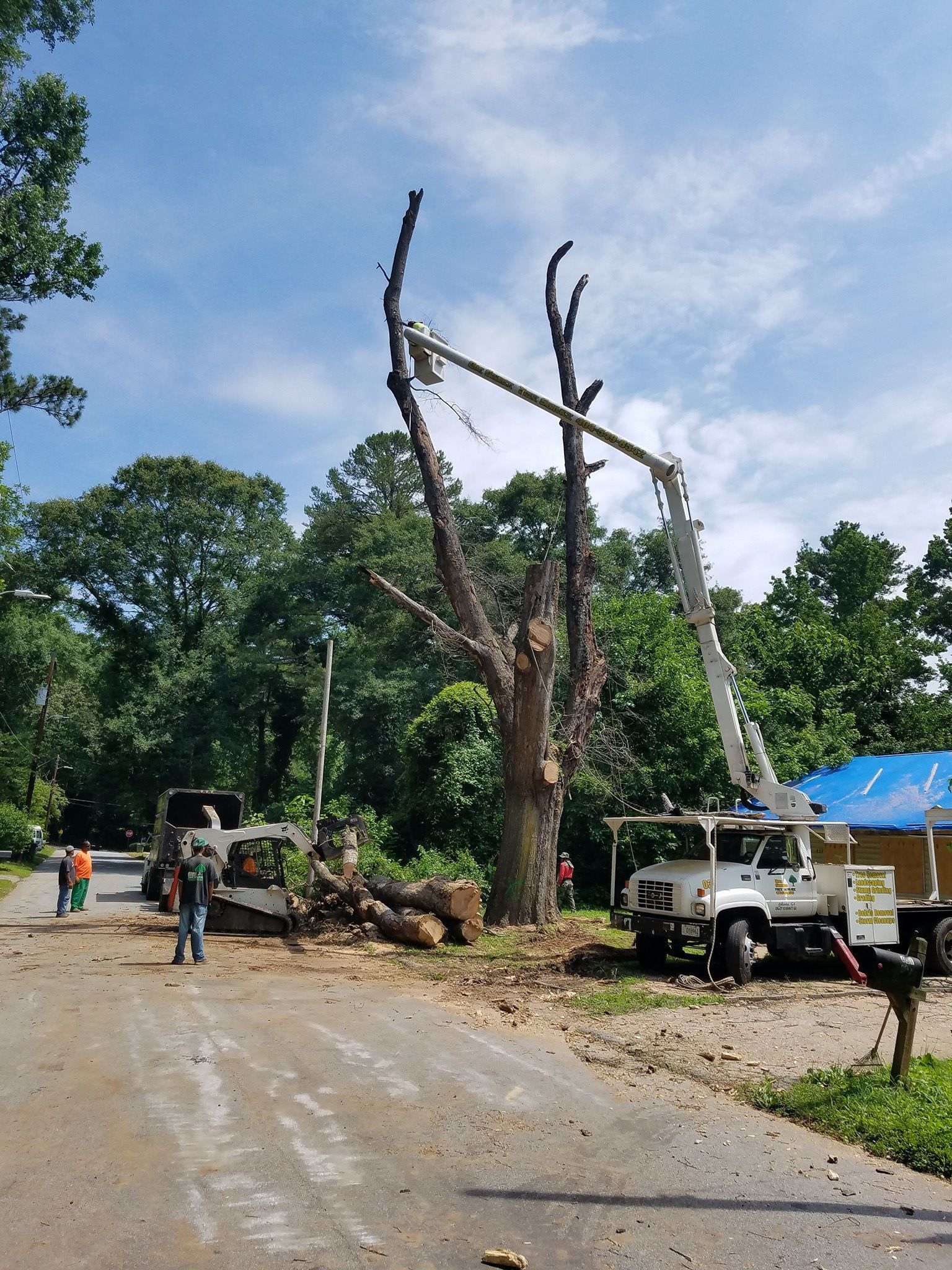 A tree is being removed by a crane on the side of the road.