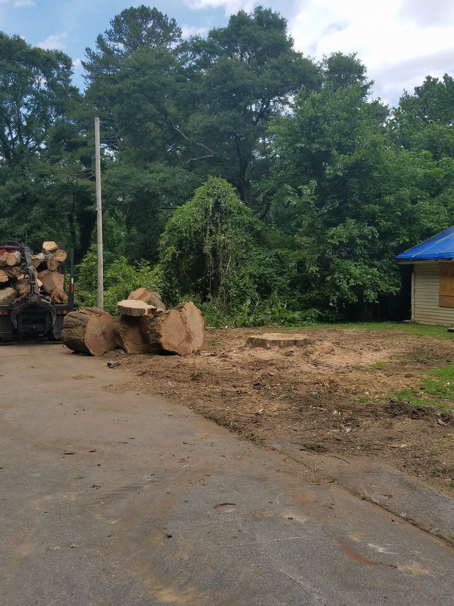 A pile of logs is sitting on the side of a road next to a house.