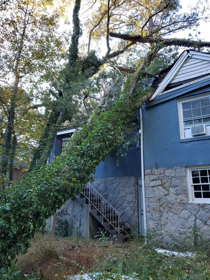 A tree has fallen on top of a blue house.