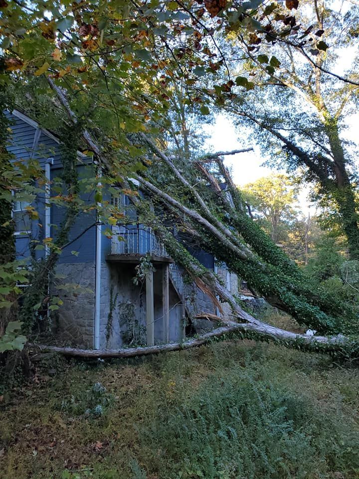 A large tree has fallen on top of a house.