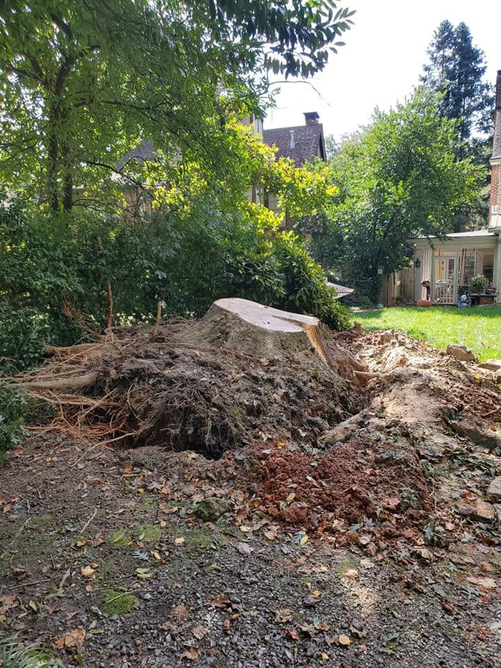 A large tree stump is sitting on top of a pile of dirt in a yard.