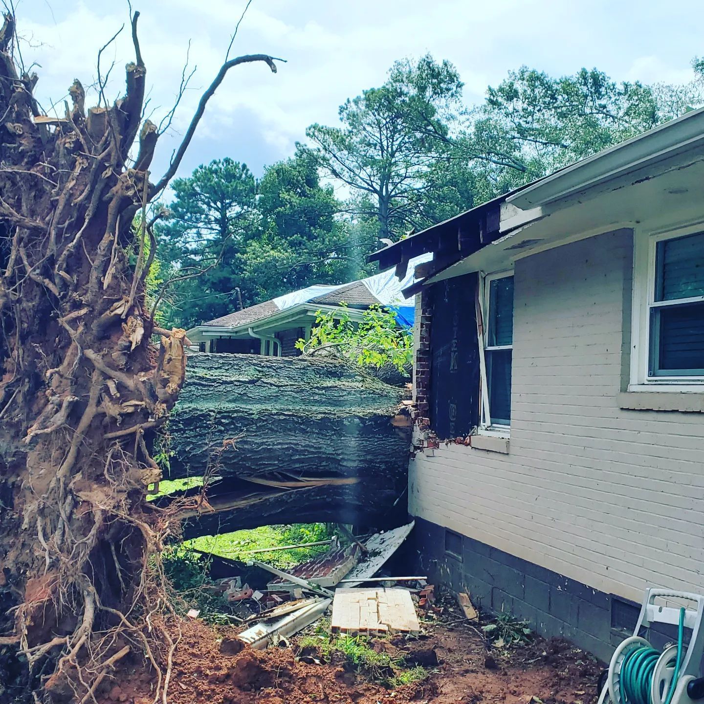 A man is using a stump grinder to remove a tree stump.