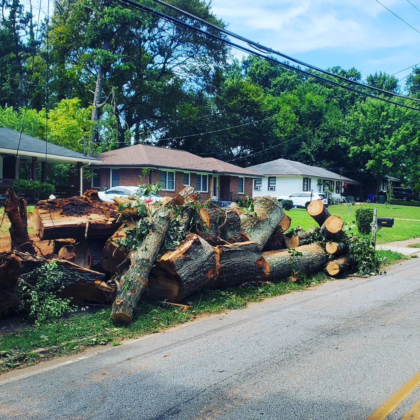 A pile of logs on the side of a road in front of a house