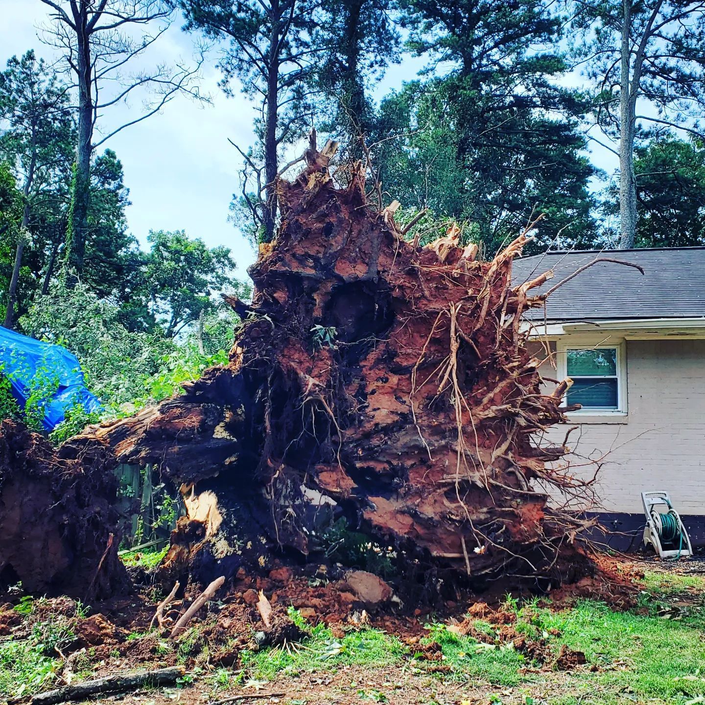 A large tree stump in front of a house
