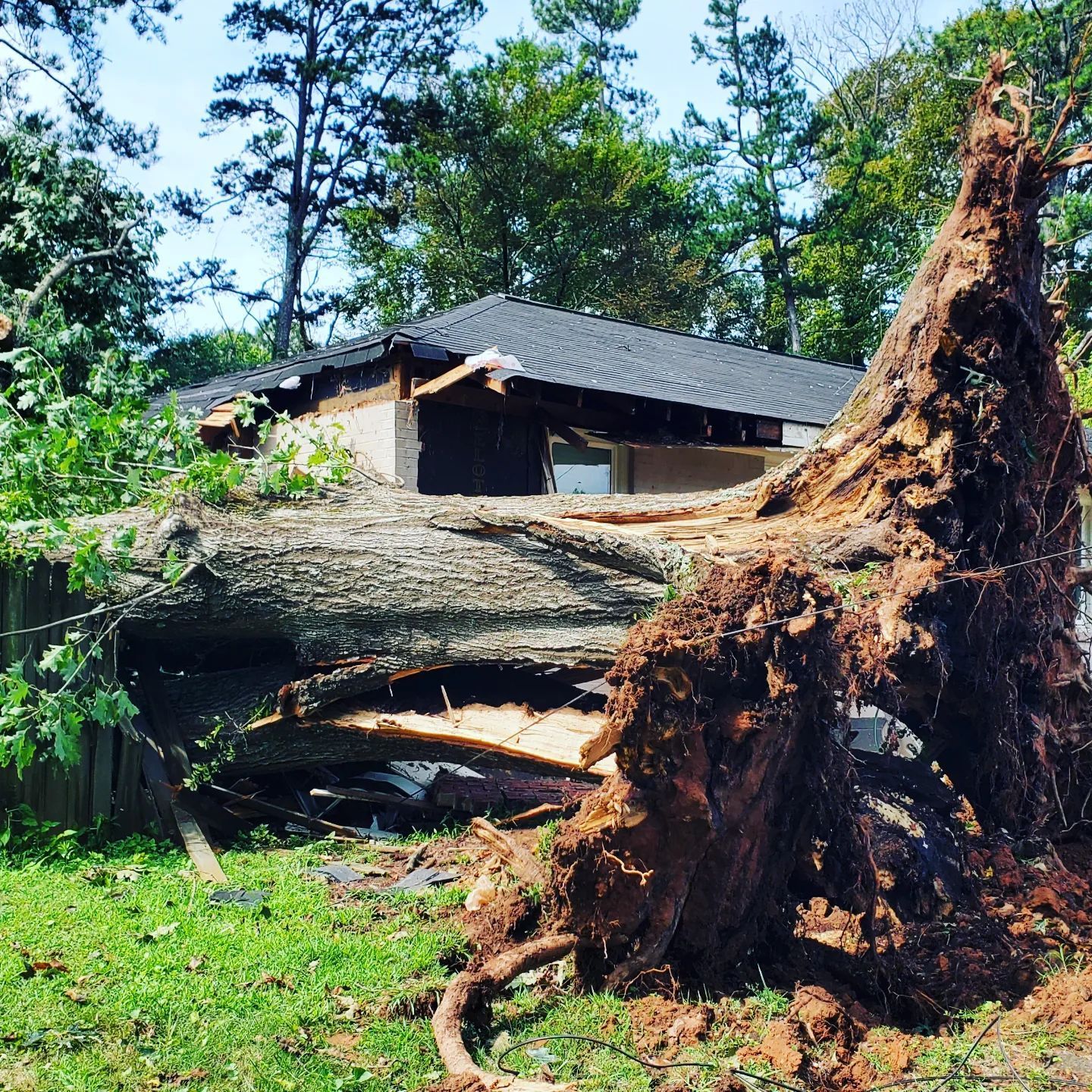 A pile of logs on the side of a road in front of a house
