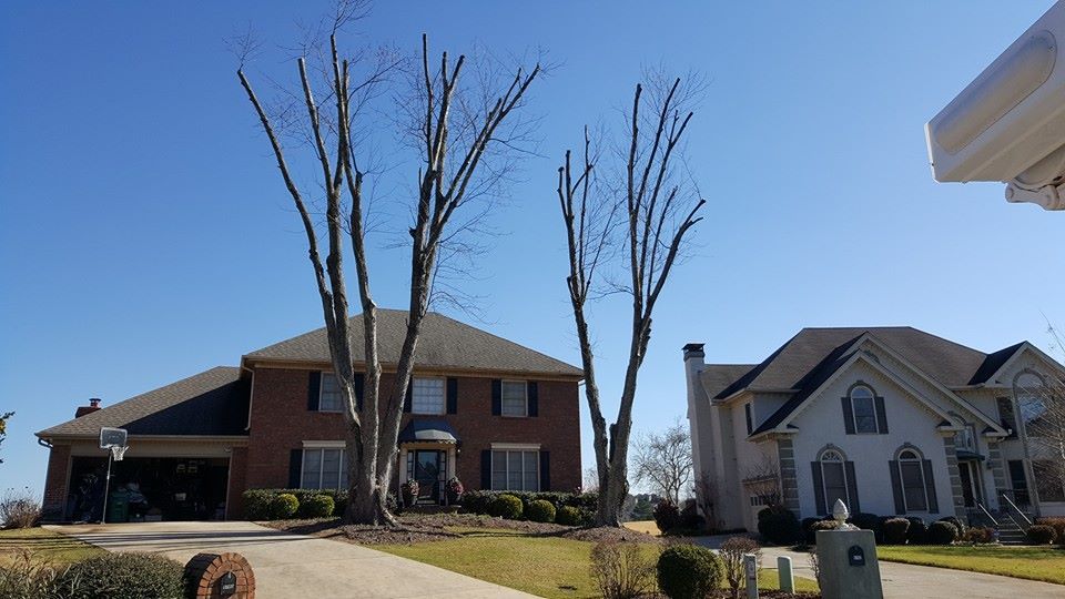 A large house with a lot of trees in front of it.