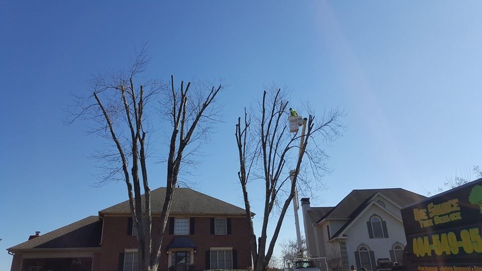 A man in a crane is cutting a tree in front of a house.