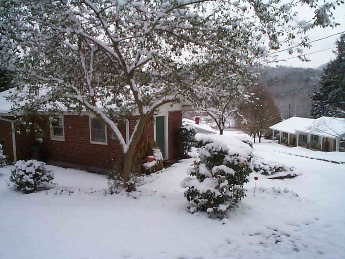 Snowy scene of red brick buildings and trees, covered in snow.