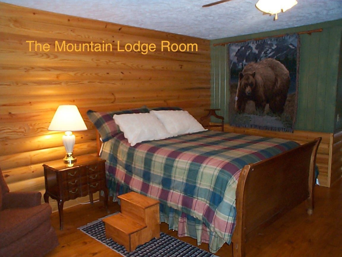 Mountain Lodge Room: Log walls, bed with plaid comforter, nightstand with lamp, elephant art, wood floor.