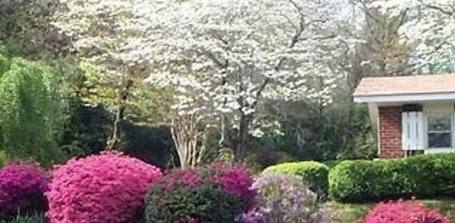 A vibrant garden with pink and purple flowers, green bushes, and a flowering tree in front of a house.