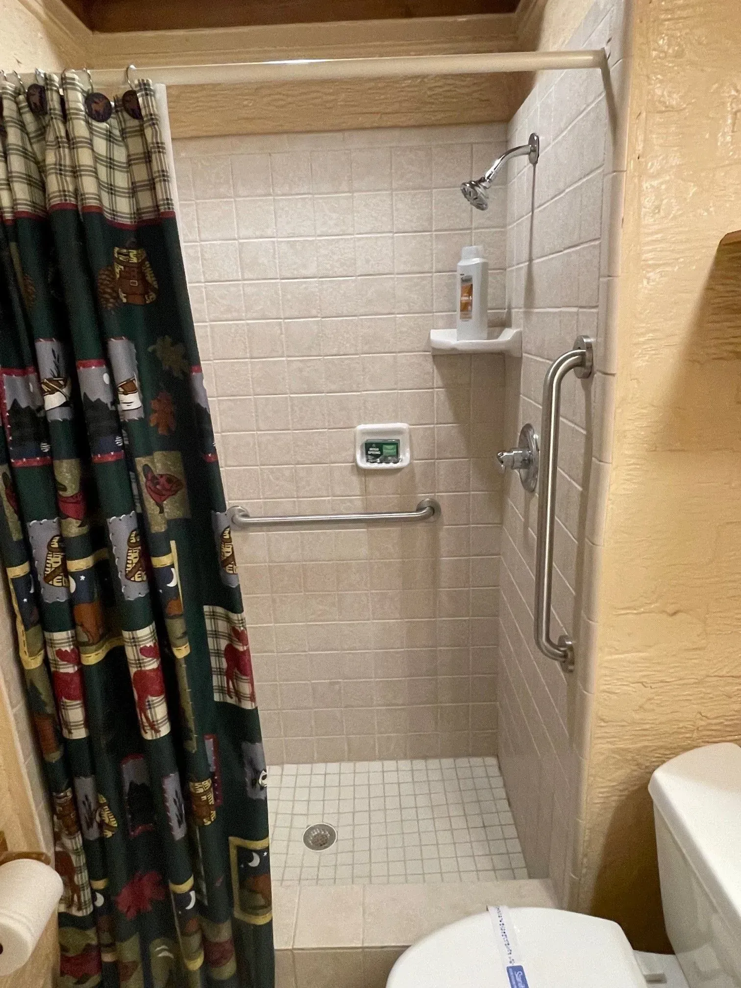 A small shower with safety bars, soap dispenser, and a bear-themed shower curtain.