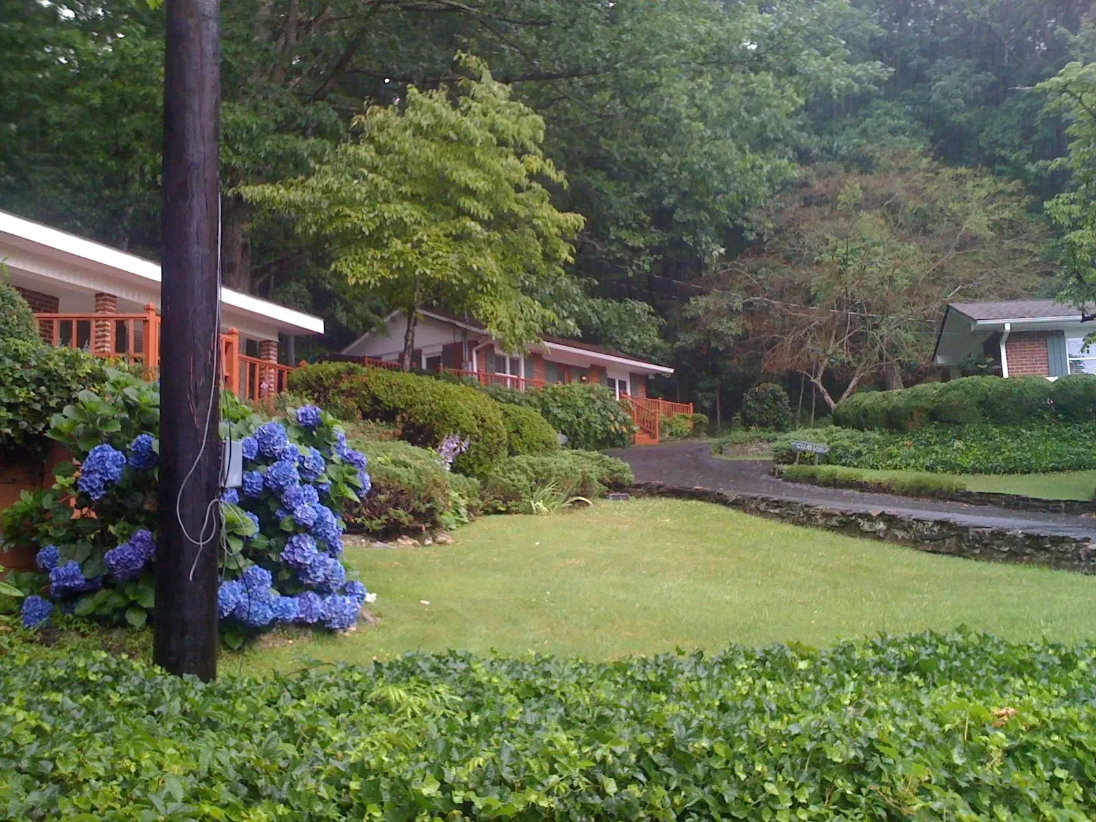 A row of cabins with brown trim, set amidst green bushes and a blue hydrangea.