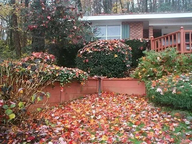 Fall foliage covers a yard with bushes, a brick house and wooden railing.