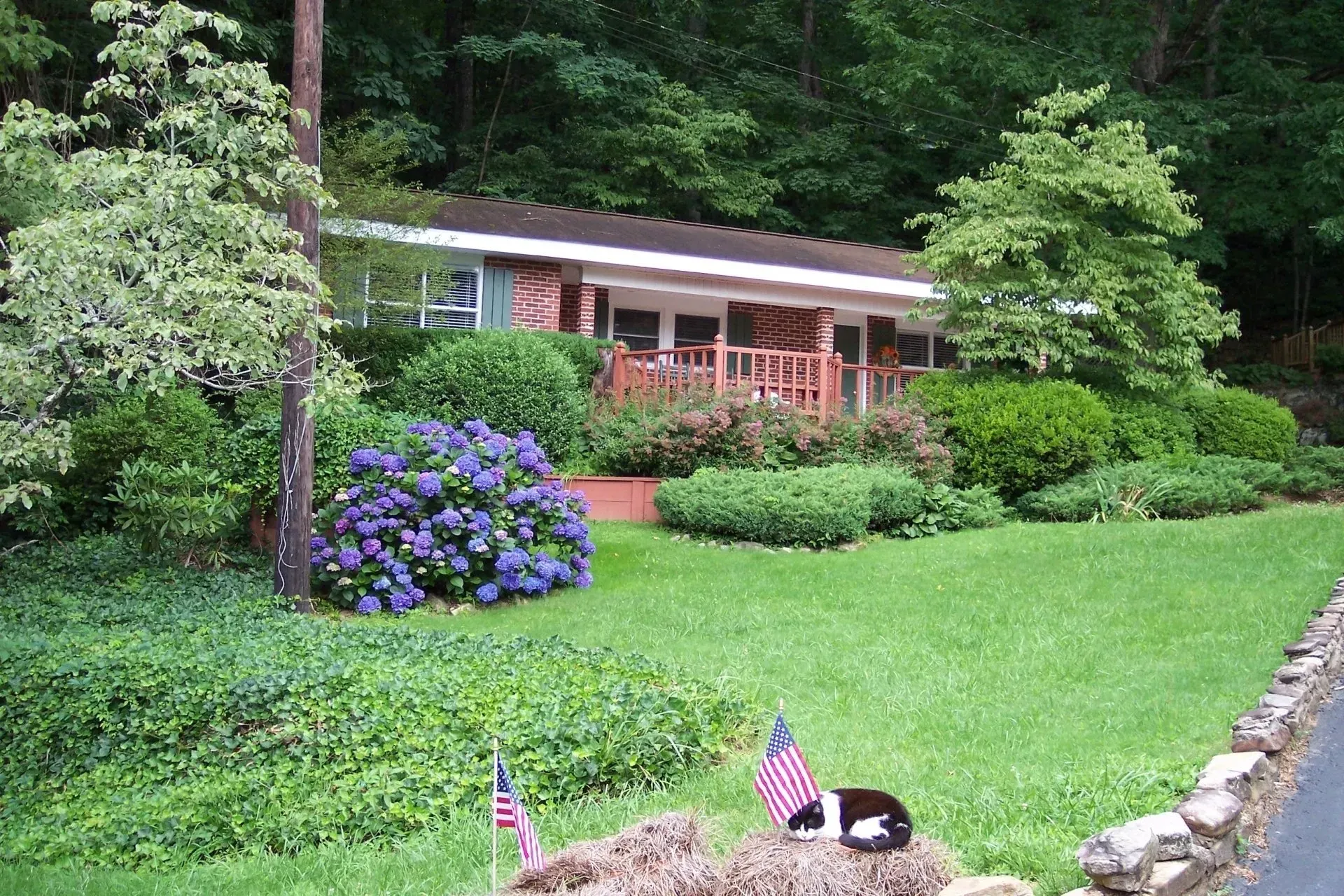 A small, one-story house nestled in lush greenery. A blue hydrangea blooms in the foreground.