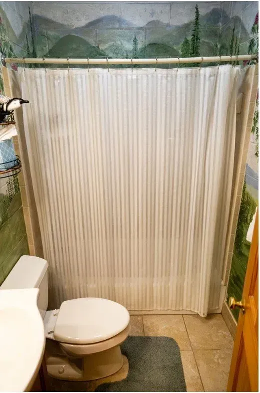 Bathroom with toilet, shower curtain, and landscape mural.