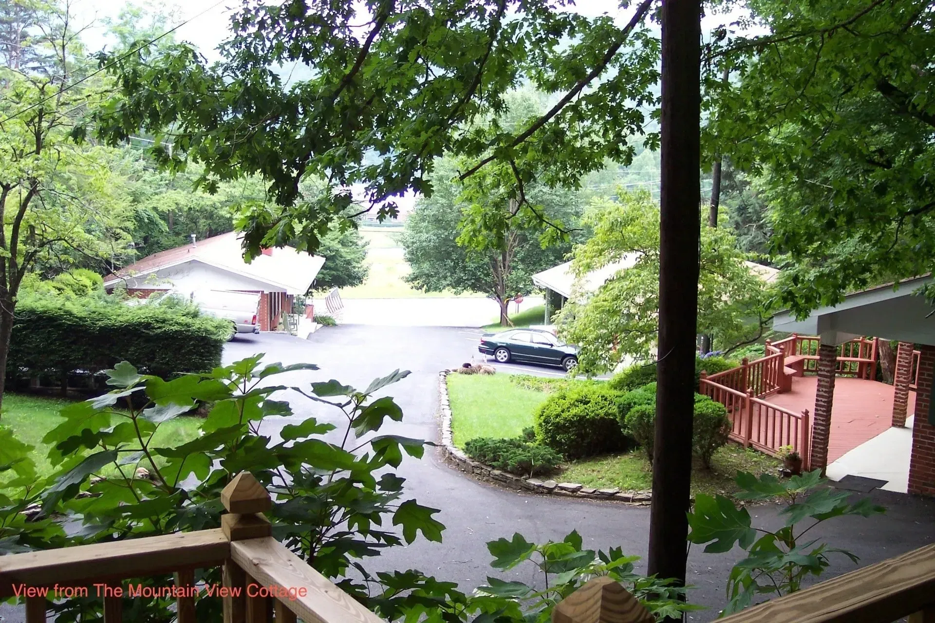 View of a driveway leading to houses surrounded by trees and greenery.