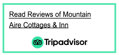Tripadvisor reviews