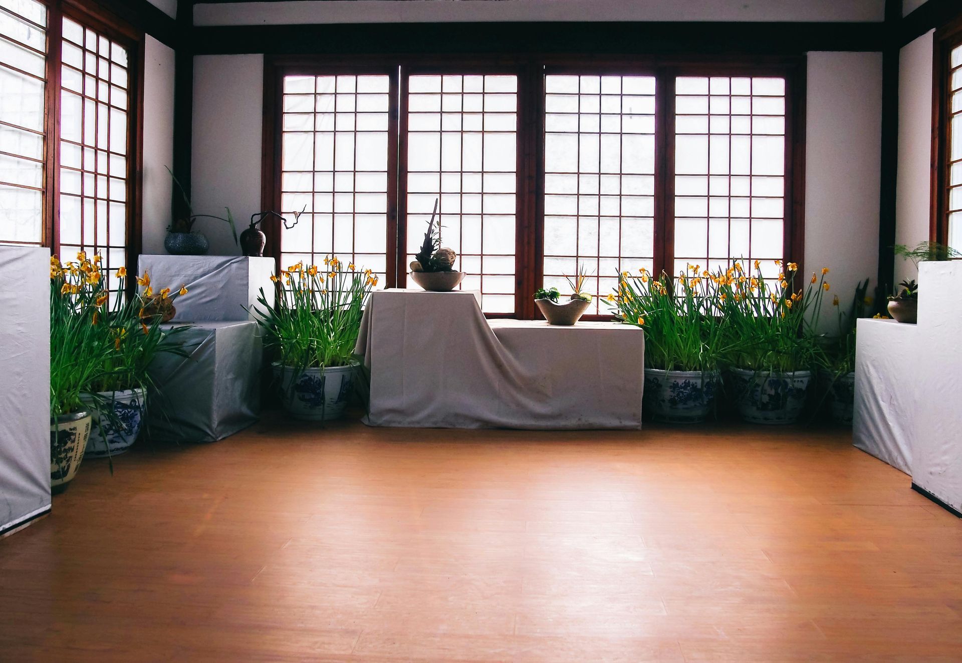 A serene Japanese-style room with wooden floors and grid windows, featuring plants and draped tables.