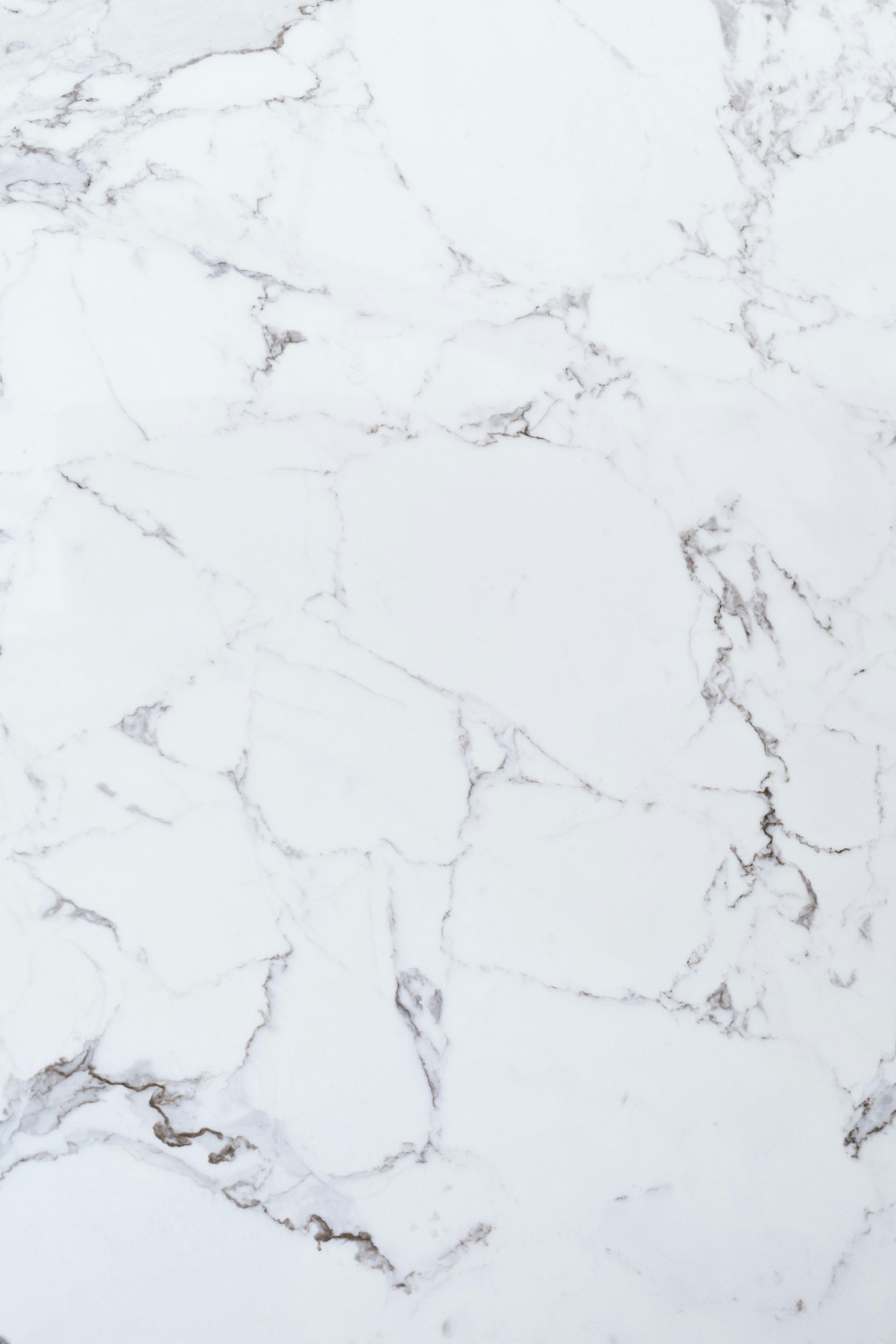 White marble with gray veining.