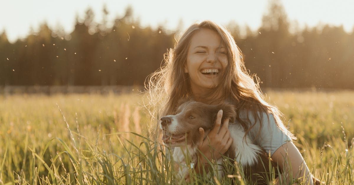 pet insurance