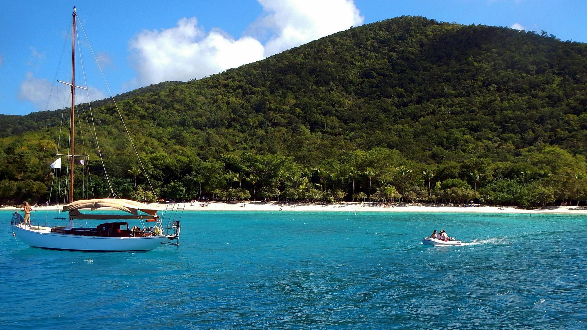 us virgin islands sailing palm trees mountain