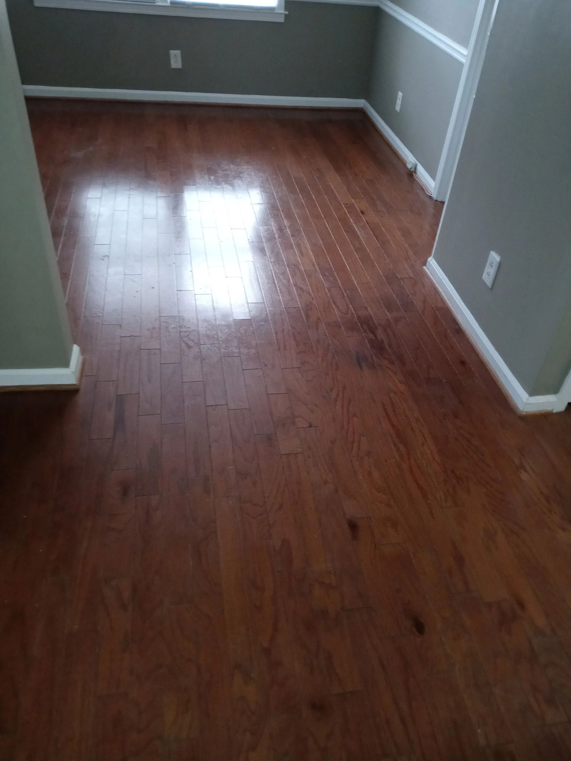 Wooden floor in a room with gray walls and white trim, lit by window light.