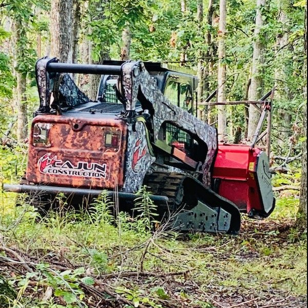 Bulldozer clearing a trail in the forest