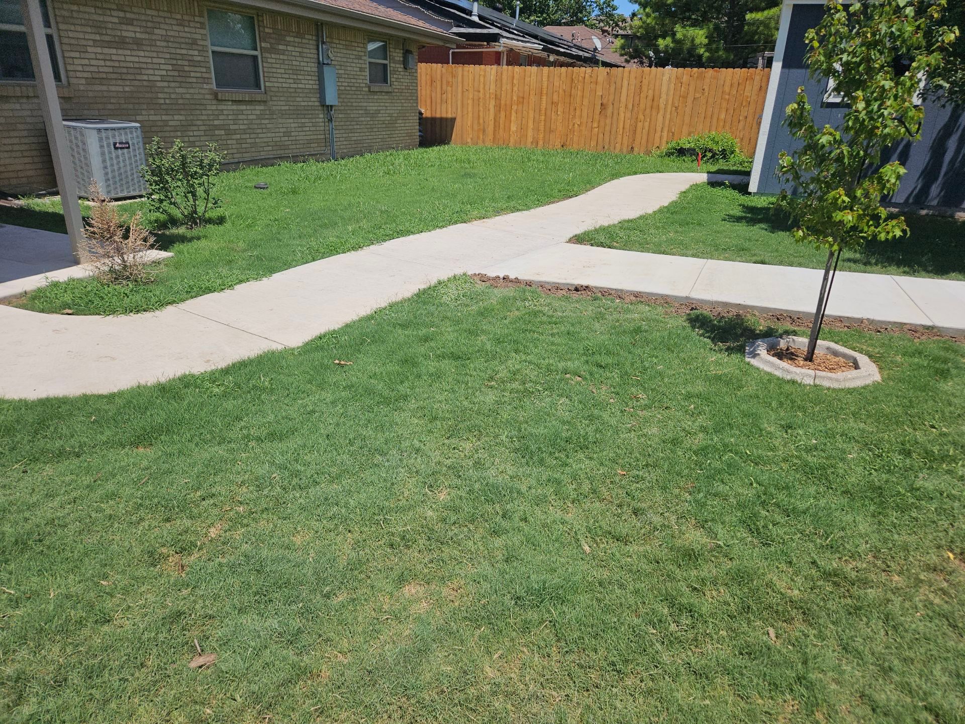 Lawn and concrete path in front of a brick house, tree on right, wooden fence in the background, blue sky.