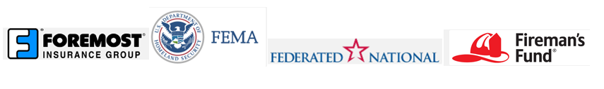 Foremost Insurance Group, FEMA, Federated National, Fireman's Fund