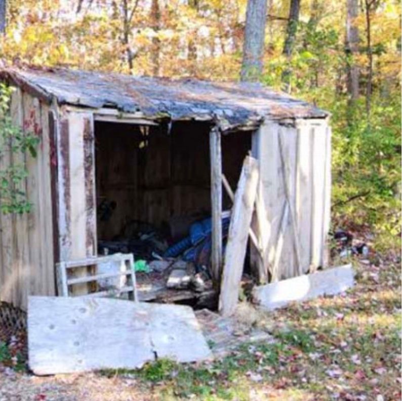Dilapidated shed in a wooded area; front wall and roof damaged, debris inside.