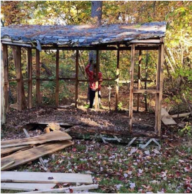 Person standing inside a dilapidated wooden structure in a wooded area. 