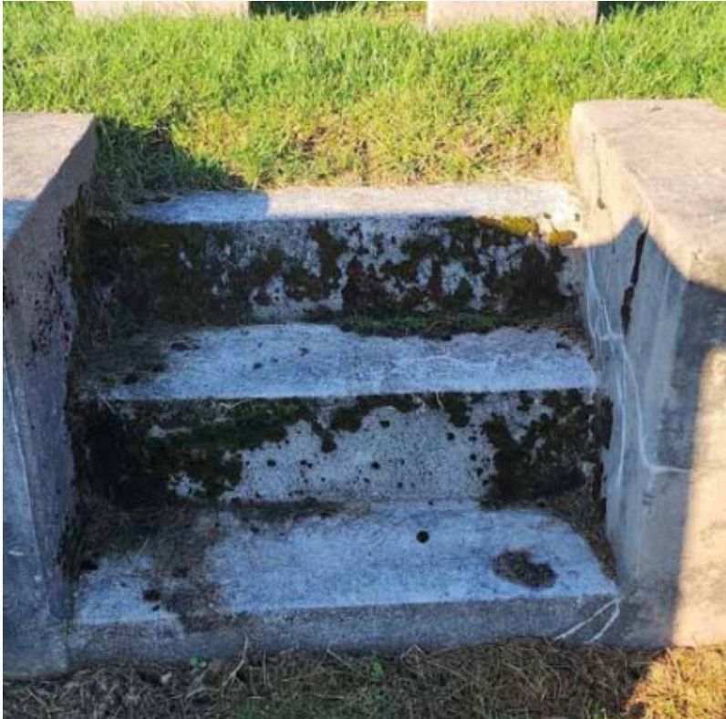 Concrete steps with moss, surrounded by grass, in an outdoor setting.