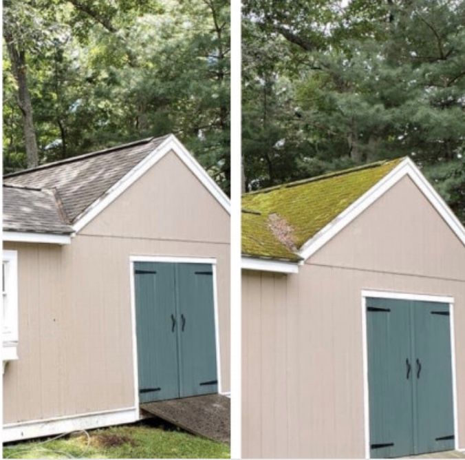 Before-and-after of a shed roof: left with dark shingles, right with moss. Green shed doors, tan siding, wooded background.