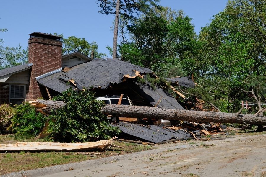 Large tree trunk crashed through a residential roof causing major structural damage