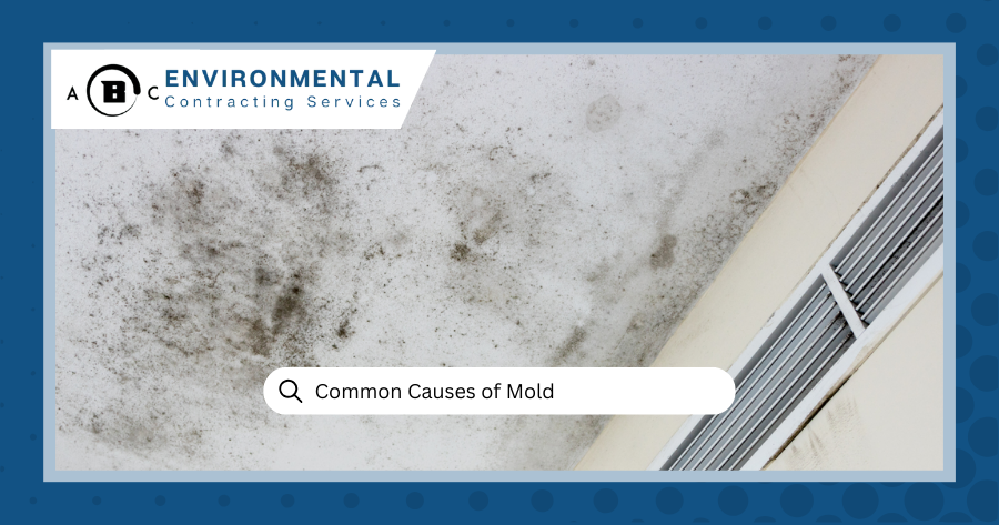 Common Causes of Mold