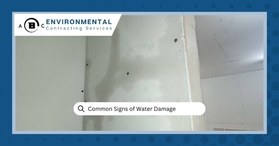 Signs of Water Damage