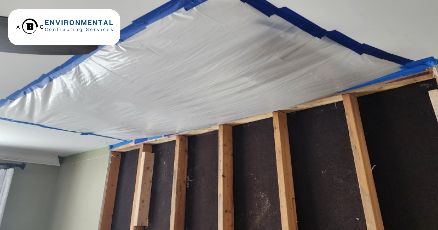 Ice Dam Water Damage