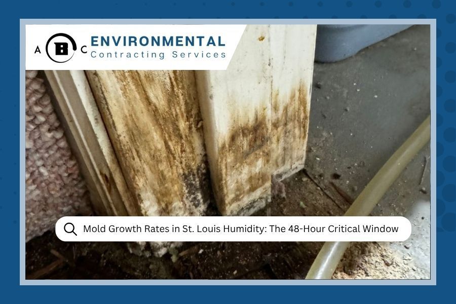 Moldy door frame with