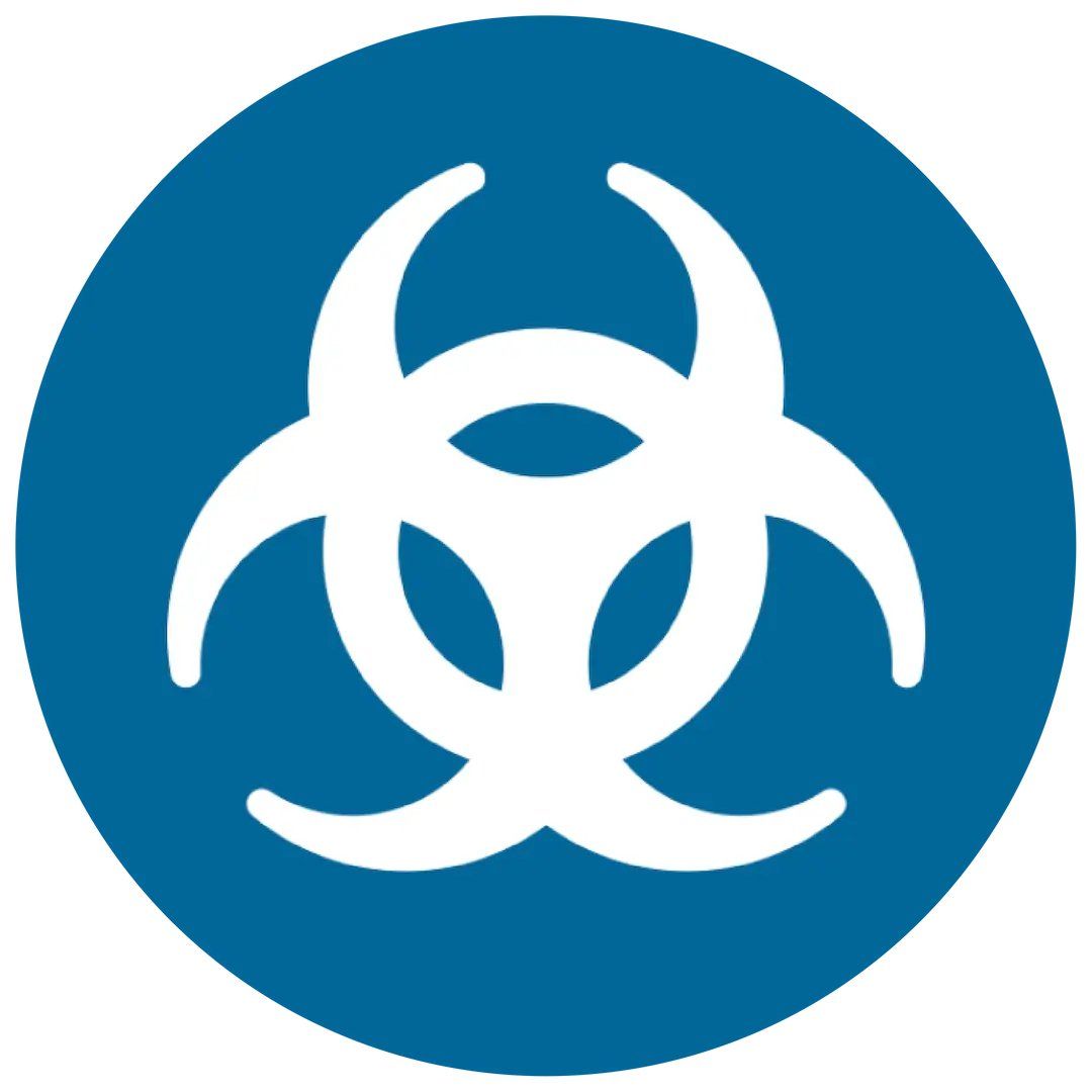 mold removal
