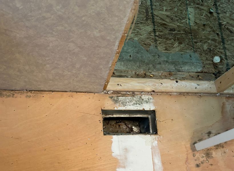 water damage in hallway bathroom and mold growth