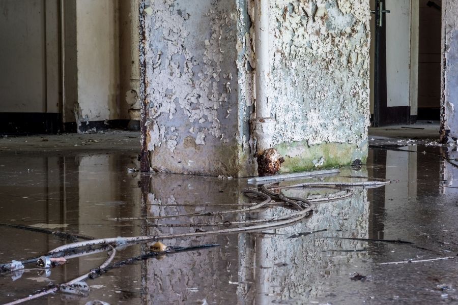 Compromised load-bearing surfaces showing visible water damage and material deterioration