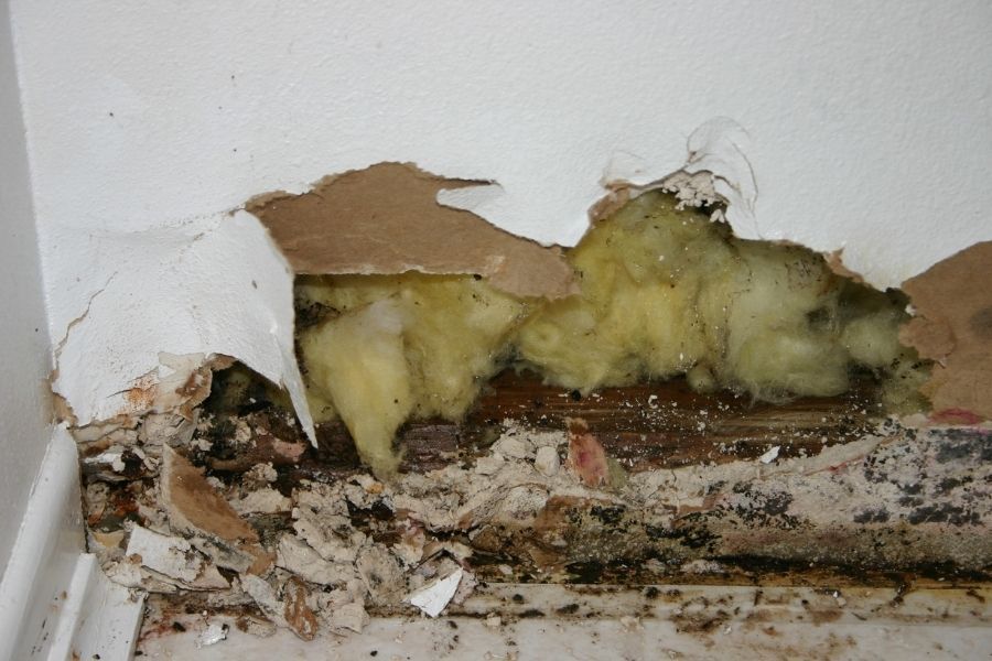 Water-damaged insulation and load-bearing framing exposed during structural assessment