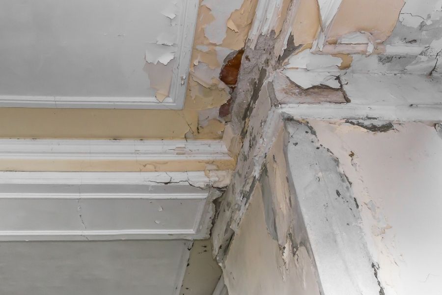 Water-damaged load-bearing wall showing signs of deterioration and framing damage