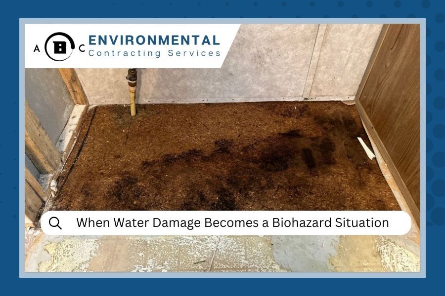 When Water Damage Becomes a Biohazard Situation