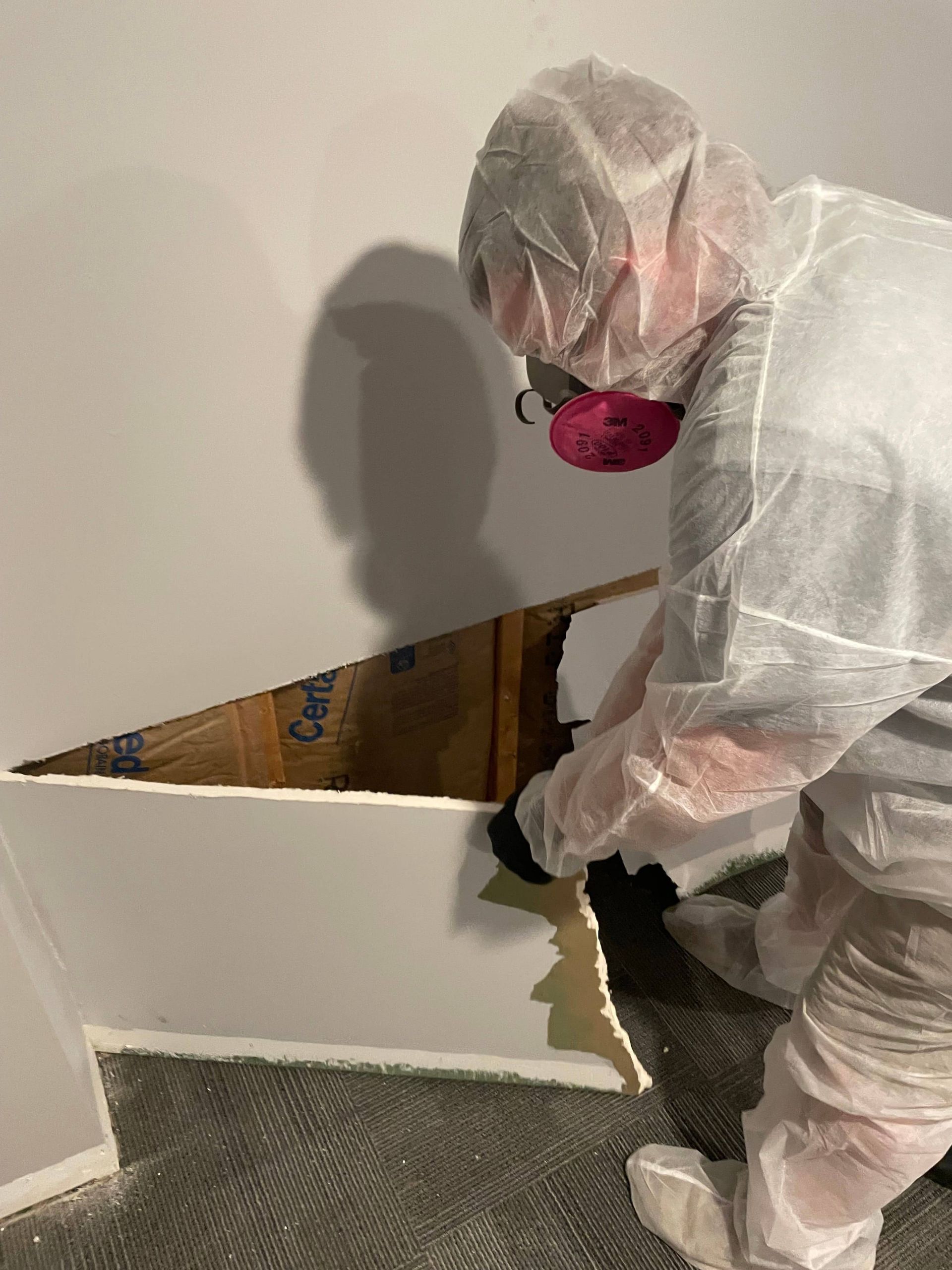 asbestos abatement