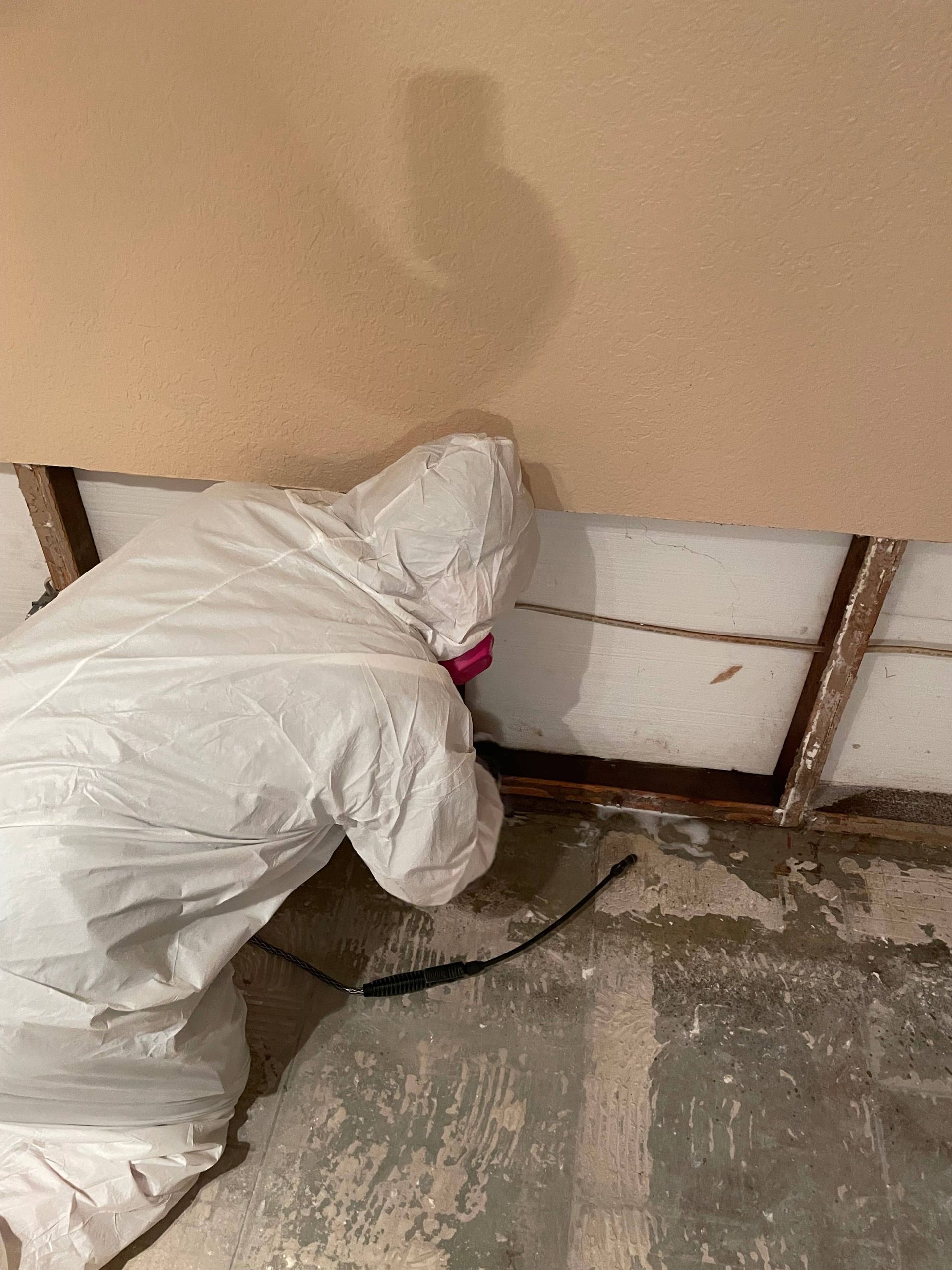 asbestos abatement